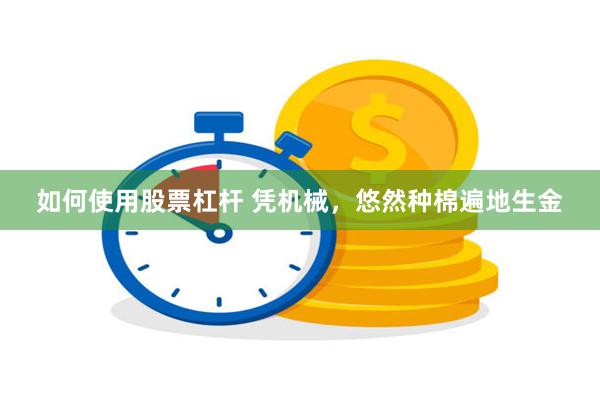 如何使用股票杠杆 凭机械，悠然种棉遍地生金