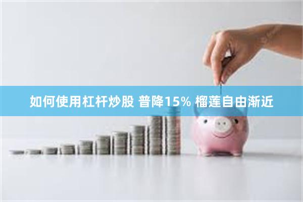 如何使用杠杆炒股 普降15% 榴莲自由渐近