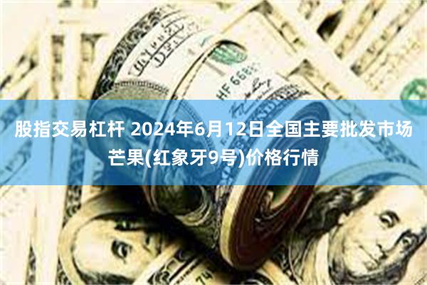 股指交易杠杆 2024年6月12日全国主要批发市场芒果(红象牙9号)价格行情