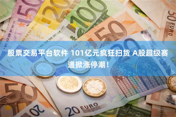 股票交易平台软件 101亿元疯狂扫货 A股超级赛道掀涨停潮！