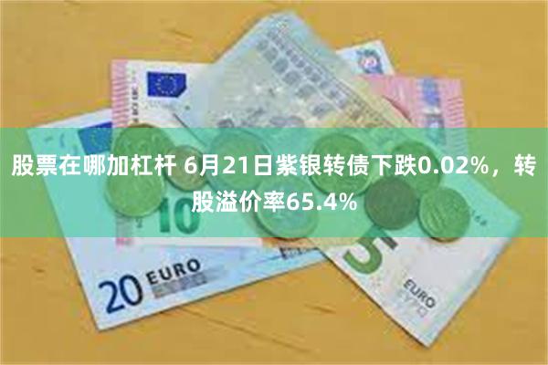 股票在哪加杠杆 6月21日紫银转债下跌0.02%，转股溢价率65.4%