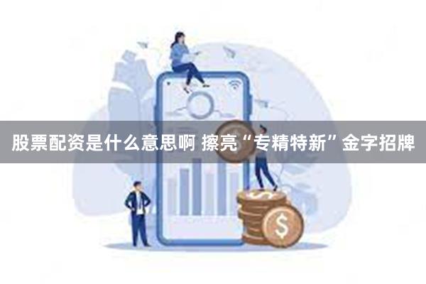 股票配资是什么意思啊 擦亮“专精特新”金字招牌