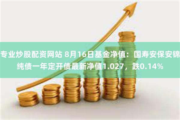 专业炒股配资网站 8月16日基金净值：国寿安保安锦纯债一年定开债最新净值1.027，跌0.14%