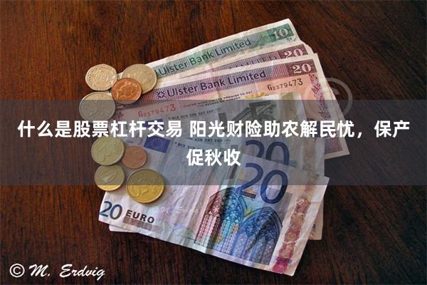 什么是股票杠杆交易 阳光财险助农解民忧，保产促秋收