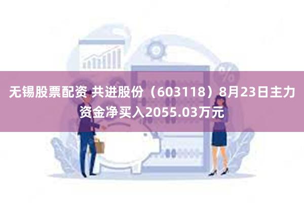 无锡股票配资 共进股份（603118）8月23日主力资金净买入2055.03万元