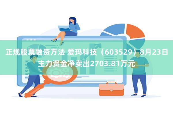 正规股票融资方法 爱玛科技（603529）8月23日主力资金净卖出2703.81万元