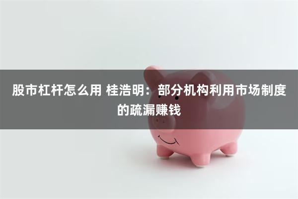 股市杠杆怎么用 桂浩明：部分机构利用市场制度的疏漏赚钱