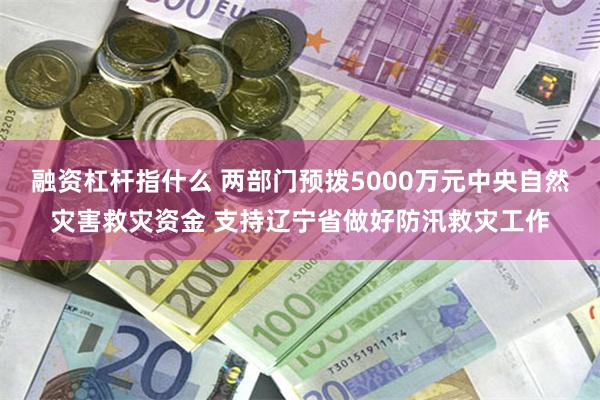 融资杠杆指什么 两部门预拨5000万元中央自然灾害救灾资金 支持辽宁省做好防汛救灾工作