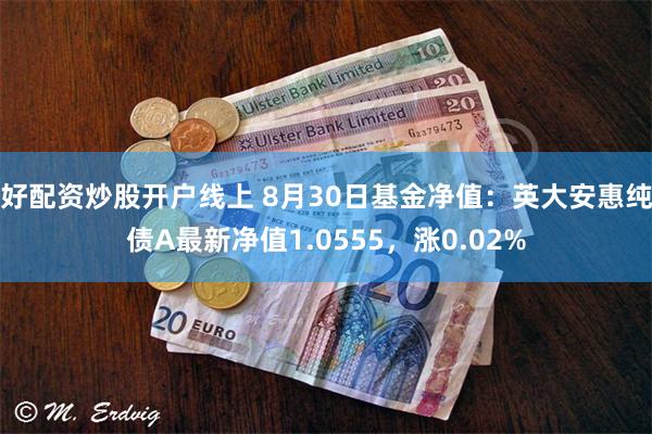 好配资炒股开户线上 8月30日基金净值：英大安惠纯债A最新净值1.0555，涨0.02%