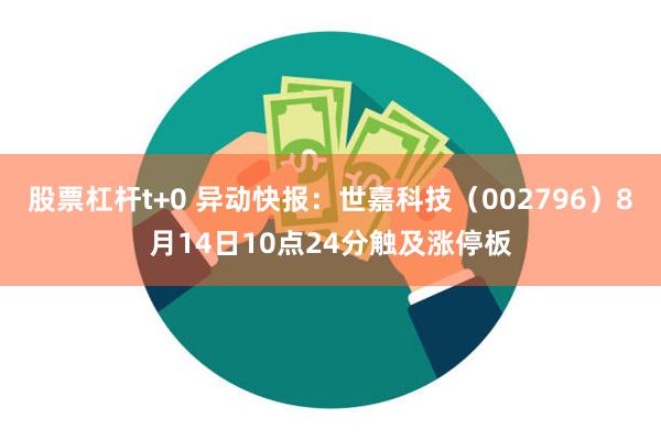 股票杠杆t+0 异动快报：世嘉科技（002796）8月14日10点24分触及涨停板