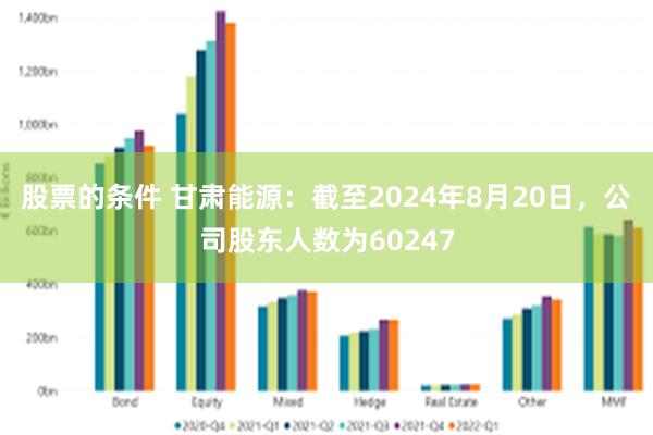 股票的条件 甘肃能源：截至2024年8月20日，公司股东人数为60247