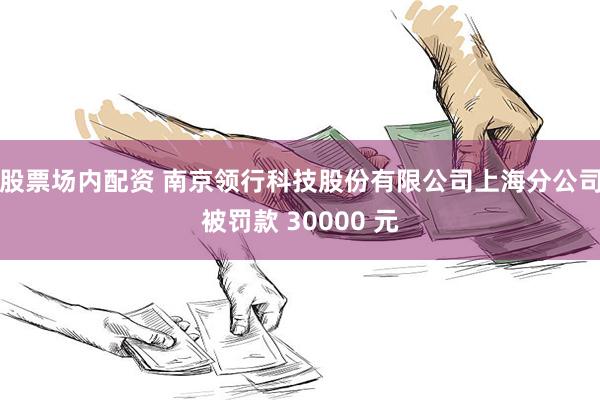 股票场内配资 南京领行科技股份有限公司上海分公司被罚款 30000 元