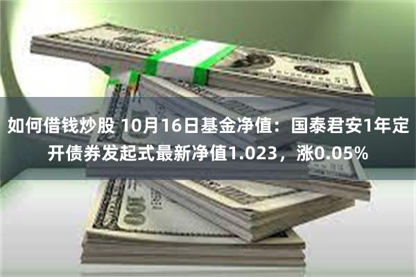 如何借钱炒股 10月16日基金净值：国泰君安1年定开债券发起式最新净值1.023，涨0.05%