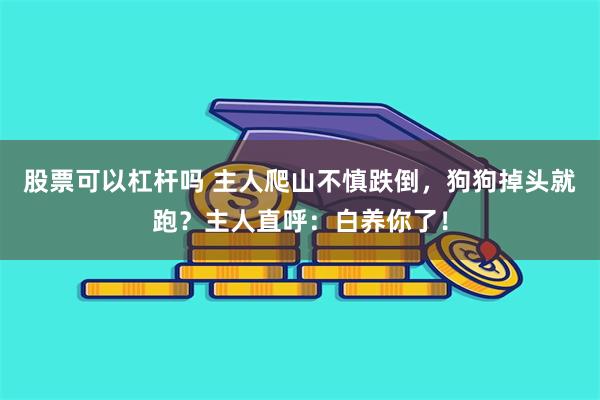 股票可以杠杆吗 主人爬山不慎跌倒，狗狗掉头就跑？主人直呼：白养你了！