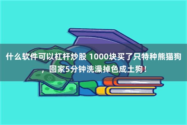 什么软件可以杠杆炒股 1000块买了只特种熊猫狗，回家5分钟洗澡掉色成土狗！