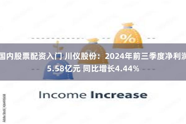 国内股票配资入门 川仪股份：2024年前三季度净利润5.58亿元 同比增长4.44%