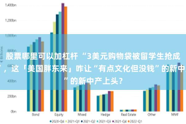 股票哪里可以加杠杆 “3美元购物袋被留学生抢成土特产”，这「美国胖东来」咋让“有点文化但没钱”的新中产上头？