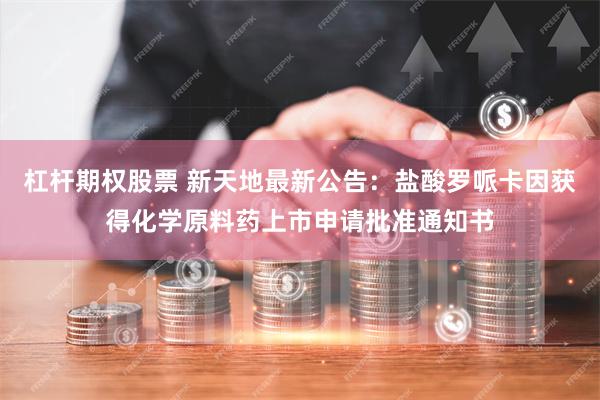 杠杆期权股票 新天地最新公告：盐酸罗哌卡因获得化学原料药上市申请批准通知书