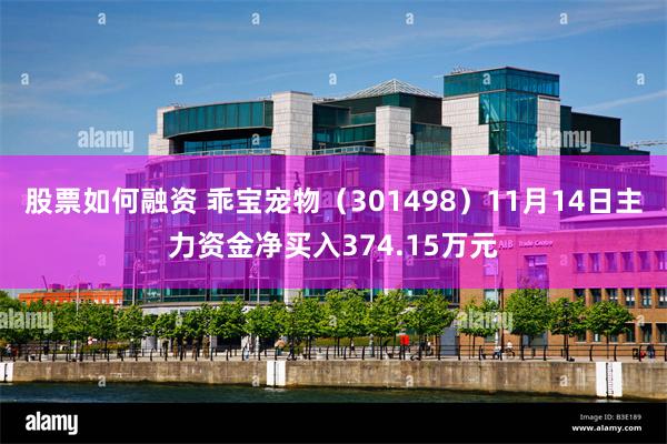 股票如何融资 乖宝宠物（301498）11月14日主力资金净买入374.15万元