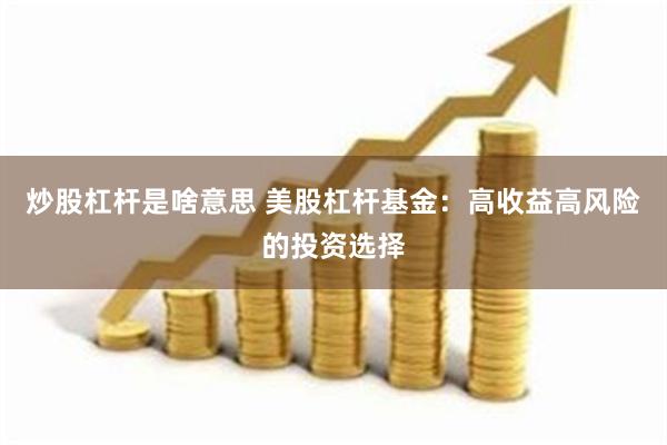 炒股杠杆是啥意思 美股杠杆基金：高收益高风险的投资选择