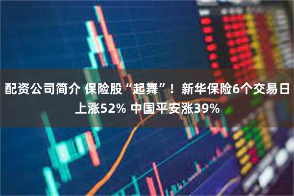 配资公司简介 保险股“起舞”！新华保险6个交易日上涨52% 中国平安涨39%