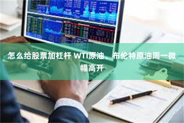 怎么给股票加杠杆 WTI原油、布伦特原油周一微幅高开